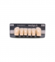 NEO LIGN A TOOTH POST D41 LOWER A1 6 pc