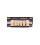 NEO LIGN A TOOTH ANT D41 LOWER A2 6 pc ASST 43, 42, 41, 31, 32, 33