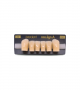 NEO LIGN A TOOTH POST D41 LOWER A3 6 pc