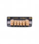 NEO LIGN A TOOTH ANT D41 LOWER A4 6 pc ASST 43, 42, 41, 31, 32, 33