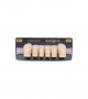 NEO LIGN A TOOTH POST D41 LOWER B1 6 pc