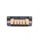 NEO LIGN A TOOTH ANT D41 LOWER B2 6 pc ASST 43, 42, 41, 31, 32, 33
