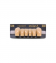 NEO LIGN A TOOTH ANT D41 LOWER B3 6 pc ASST 43, 42, 41, 31, 32, 33