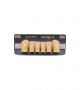 NEO LIGN A TOOTH ANT D41 LOWER B4 6 pc ASST 43, 42, 41, 31, 32, 33