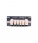 NEO LIGN A TOOTH POST D41 LOWER BL3 6 pc