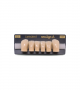 NEO LIGN A TOOTH ANT D41 LOWER C3 6 pc ASST 43, 42, 41, 31, 32, 33