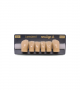 NEO LIGN A TOOTH ANT D41 LOWER C4 6 pc ASST 43, 42, 41, 31, 32, 33
