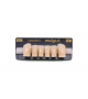NEO LIGN A TOOTH ANT D41 LOWER D2 6 pc ASST 43, 42, 41, 31, 32, 33