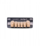 NEO LIGN A TOOTH ANT D41 LOWER D3 6 pc ASST 43, 42, 41, 31, 32, 33
