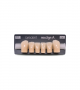 NEO LIGN A TOOTH POST D41 LOWER D3 6 pc