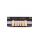 NEO LIGN A TOOTH ANT T35 LOWER A1 6 pc ASST 43, 42, 41, 31, 32, 33
