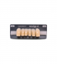 NEO LIGN A TOOTH ANT T35 LOWER A3 6 pc ASST 43, 42, 41, 31, 32, 33