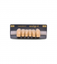 NEO LIGN A TOOTH ANT T35 LOWER A3.5 6 pc ASST 43, 42, 41, 31, 32, 33
