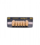 NEO LIGN A TOOTH ANT T35 LOWER A4 6 pc ASST 43, 42, 41, 31, 32, 33