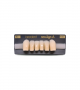 NEO LIGN A TOOTH ANT T35 LOWER B2 6 pc ASST 43, 42, 41, 31, 32, 33