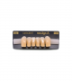 NEO LIGN A TOOTH ANT T35 LOWER B3 6 pc ASST 43, 42, 41, 31, 32, 33