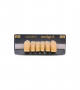 NEO LIGN A TOOTH ANT T35 LOWER B4 6 pc ASST 43, 42, 41, 31, 32, 33