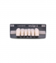 NEO LIGN A TOOTH ANT T35 LOWER BL3 6 pc ASST 43, 42, 41, 31, 32, 33