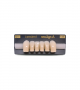 NEO LIGN A TOOTH ANT T35 LOWER C1 6 pc ASST 43, 42, 41, 31, 32, 33