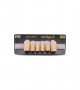 NEO LIGN A TOOTH ANT T35 LOWER C2 6 pc ASST 43, 42, 41, 31, 32, 33
