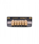 NEO LIGN A TOOTH ANT T35 LOWER C4 6 pc ASST 43, 42, 41, 31, 32, 33