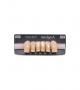 NEO LIGN A TOOTH ANT T35 LOWER D3 6 pc ASST 43, 42, 41, 31, 32, 33