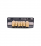 NEO LIGN A TOOTH ANT T35 LOWER D4 6 pc ASST 43, 42, 41, 31, 32, 33