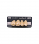 NOVO LIGN P VENEER POST G3 UPPER D4 4 pc ASST 14, 15, 16, 17