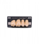 NOVO LIGN P VENEER POST G4 UPPER A3.5 4 pc