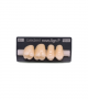 NOVO LIGN P VENEER POST G4 UPPER B3 4 pc ASST 14, 15, 16, 17