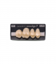 NOVO LIGN P VENEER POST 1W4 UPPER D4 4 pc ASST