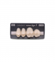 NOVO LIGN P VENEER POST 2W4 UPPER C1 4 pc ASST