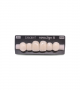 NOVO LIGN A VENEER ANT A44 UPPER A1 6 pc ASST 13, 12, 11, 21, 22, 23