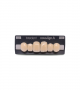 NOVO LIGN A VENEER ANT A44 UPPER A3 6 pc ASST 13, 12, 11, 21, 22, 23
