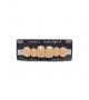 NOVO LIGN A VENEER ANT A44 UPPER A4 6 pc ASST 13, 12, 11, 21, 22, 23