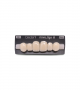NOVO LIGN A VENEER ANT A44 UPPER B2 6 pc ASST 13, 12, 11, 21, 22, 23