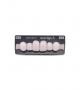NOVO LIGN A VENEER ANT A44 UPPER BL3 6 pc ASST 13, 12, 11, 21, 22, 23