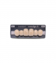 NOVO LIGN A VENEER ANT A44 UPPER C2 6 pc ASST 13, 12, 11, 21, 22, 23