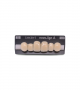NOVO LIGN A VENEER ANT A44 UPPER C3 6 pc ASST 13, 12, 11, 21, 22, 23