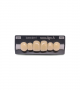 NOVO LIGN A VENEER ANT A44 UPPER D4 6 pc ASST 13, 12, 11, 21, 22, 23