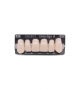 NOVO LIGN A VENEER ANT B51 UPPER A1 6 pc ASST 13, 12, 11, 21, 22, 23