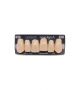 NOVO LIGN A VENEER ANT B51 UPPER A3 6 pc ASST 13, 12, 11, 21, 22, 23
