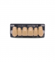 NOVO LIGN A VENEER ANT B51 UPPER A4 6 pc ASST 13, 12, 11, 21, 22, 23
