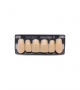 NOVO LIGN A VENEER ANT B51 UPPER B3 6 pc ASST 13, 12, 11, 21, 22, 23