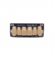 NOVO LIGN A VENEER ANT B51 UPPER C4 6 pc ASST 13, 12, 11, 21, 22, 23