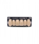 NOVO LIGN A VENEER ANT B51 UPPER D2 6 pc ASST 13, 12, 11, 21, 22, 23