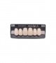 NOVO LIGN A VENEER ANT C43 UPPER A1 6 pc ASST 13, 12, 11, 21, 22, 23
