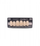 NOVO LIGN A VENEER ANT C43 UPPER A2 6 pc ASST 13, 12, 11, 21, 22, 23