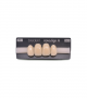 NOVO LIGN A VENEER ANT C43 UPPER A3 4 pc ASST 12, 11, 21, 22