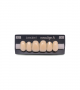 NOVO LIGN A VENEER ANT C43 UPPER A3 6 pc ASST 13, 12, 11, 21, 22, 23